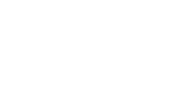Wettigo Casino Logo