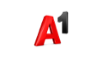 A1