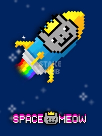 Space Meow