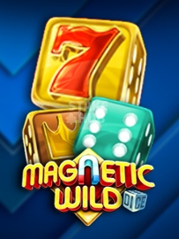 Magnetic Wild Dice