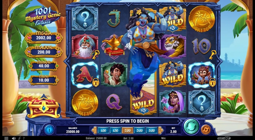 1001 Mystery Genie Fortunes.jpg