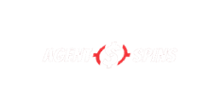 Agent Spins Casino