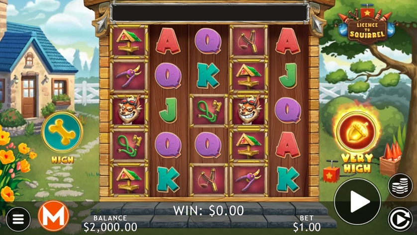 Licence to Squirrel.jpg