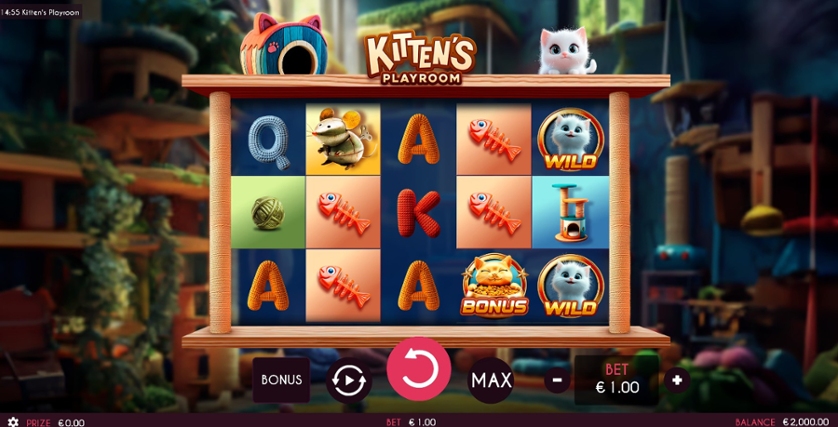 Kitten’s Playroom.jpg