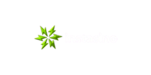 Instasino Casino