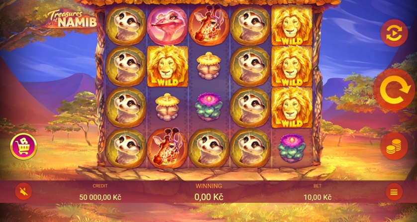 Treasures of Namib.jpg