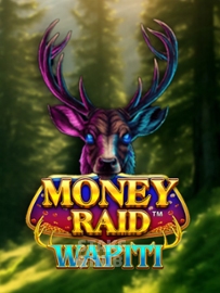 Money Raid Wapiti