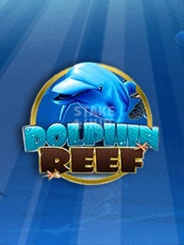 Dolphin reef