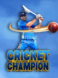 Cricket Champion