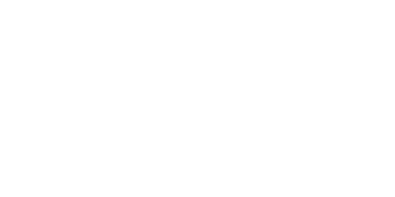 Wgo247 Casino Logo