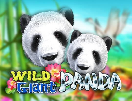 Wild Giant Panda