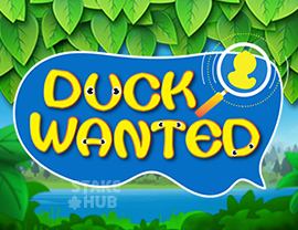 Duck Wanted