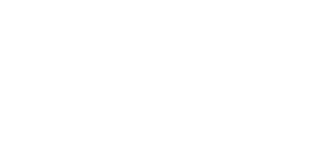 MintBingo Casino Logo