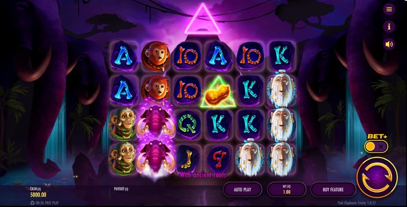 Pink Elephants Trinity SC.jpg