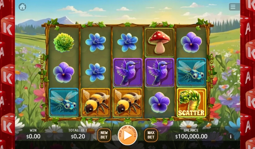 Butterfly Wild Dance.jpg