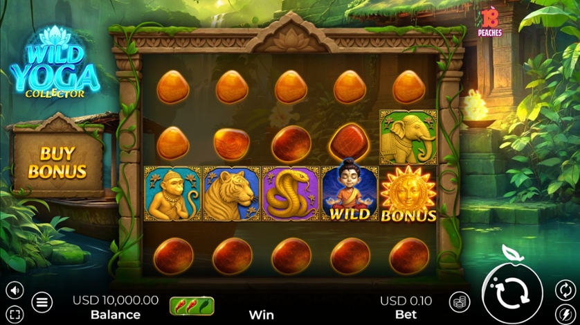 Wild Yoga Collector.jpg