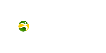 BR4BET Casino Logo
