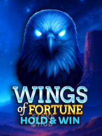 Wings of Fortune: Hold & Wins
