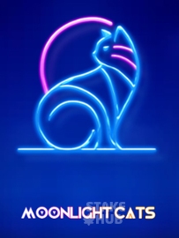 Moonlight Cats