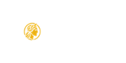 Dionyx Casino Logo