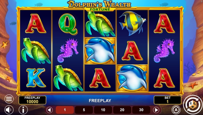 Dolphin's Wealth Fortune.jpg
