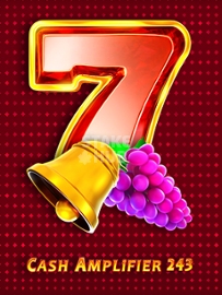 Cash Amplifier 243