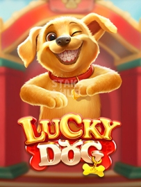 Lucky Dog