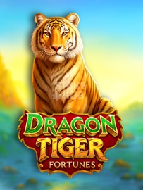 Dragon Tiger Fortunes