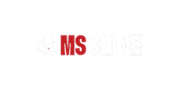 MsSpins Casino Logo