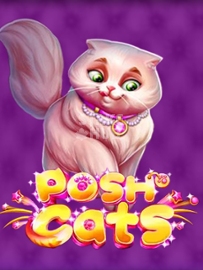 Posh Cats
