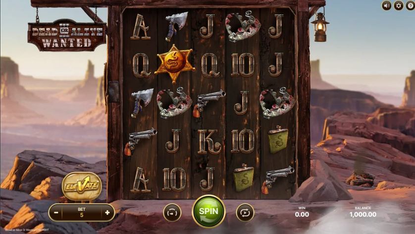 Dead or Alive 3 Wanted SC.jpg