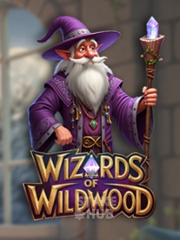 Wizards of Wild Wood