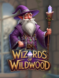 Wizards of Wild Wood