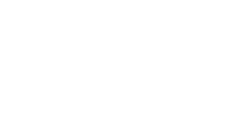The Normal Casino Logo