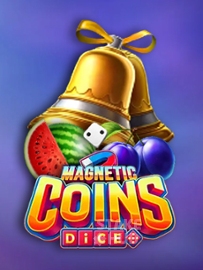 Magnetic Coins Dice
