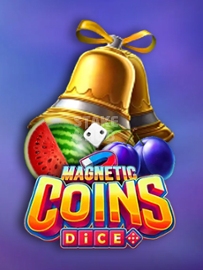 Magnetic Coins Dice
