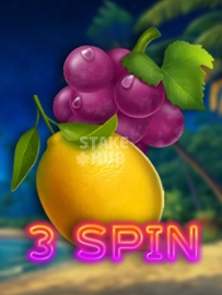 3 Spin