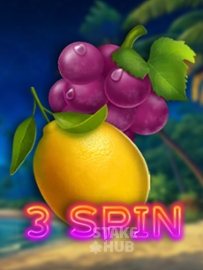 3 Spin