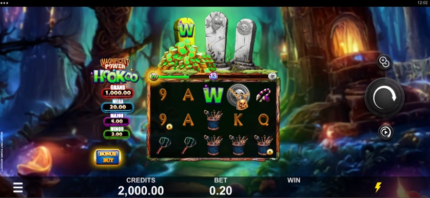 Magnificent Power HooKoo.jpg