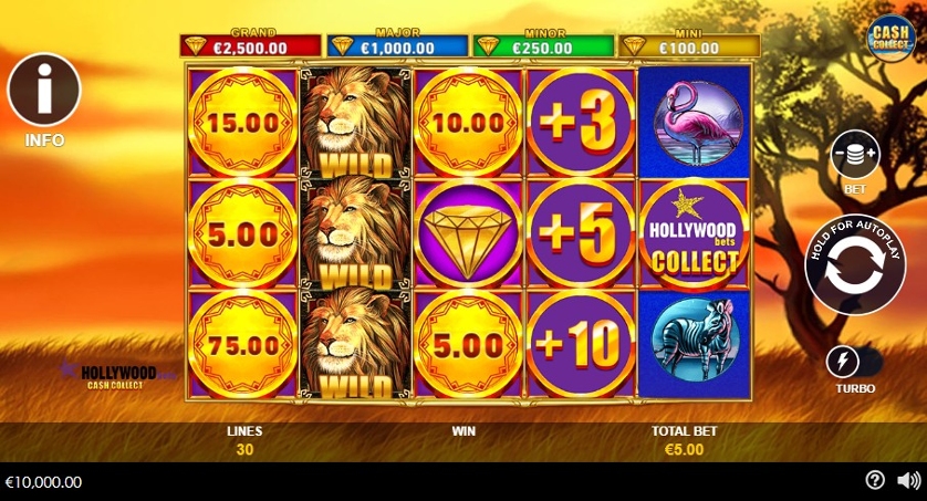 Hollywood Bets Cash Collect.jpg