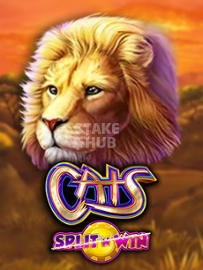 Cats Split 'n' Win