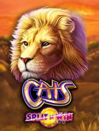 Cats Split 'n' Win