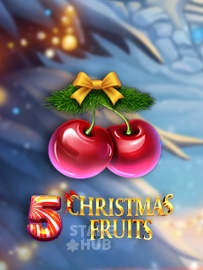 5 Christmas Fruits