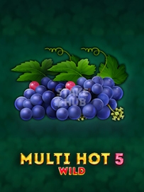 Multi Hot 5 Burn Wilds
