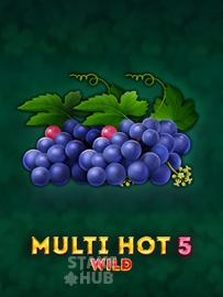 Multi Hot 5 Burn Wilds