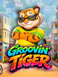Groovin Tiger