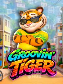 Groovin Tiger