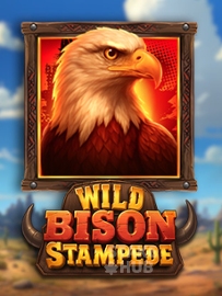 Wild Bison Stampede