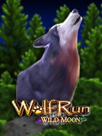 Wolf Run Wild Moon