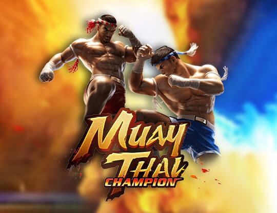 Muay Thai Champion